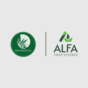 Office Logo